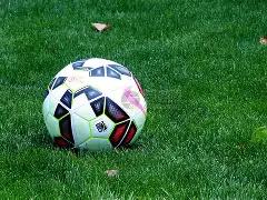 維納爾杜姆,詩人別稱的,源起,万博manbetx体育平台,万博体育官网,万博体育app下载,ManBetX,SPORTS